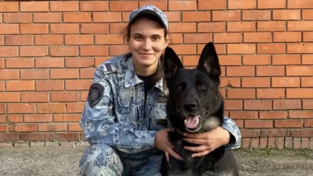 Служебная овчарка нашла в Чебоксарах пропавший электробайк школьника