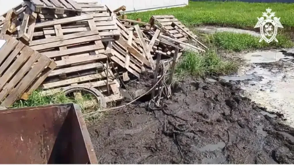 Начальника свинокомплекса в Батыревском округе будут судить за гибель рабочего